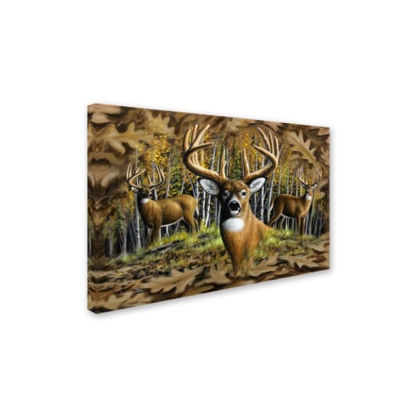 Chuck Black 'Whitetail Country' Canvas Art,12x19